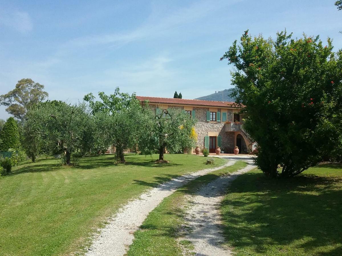 Апартаменти Locazione Turistica La Ginestra Monsummano Terme Екстер'єр фото